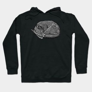 Sleeping Fox Hoodie